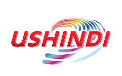 Ushindi