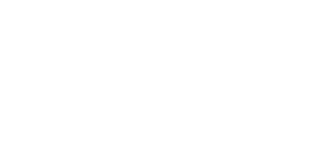 Video Force